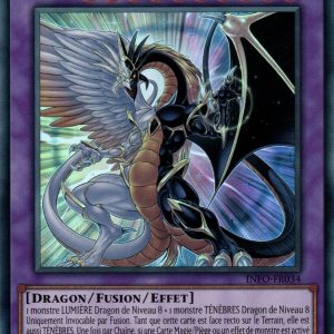 Seigneur du dragon de la lumière et des ténèbres